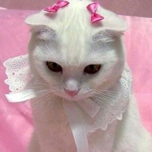 Meet your Posher, Sky